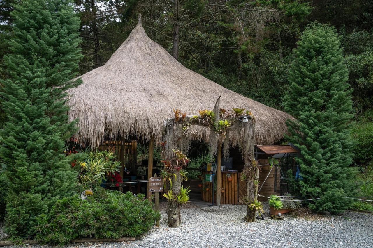 Bubblesky Glamping 40 Min From Medellin Hotel Retiro Kültér fotó