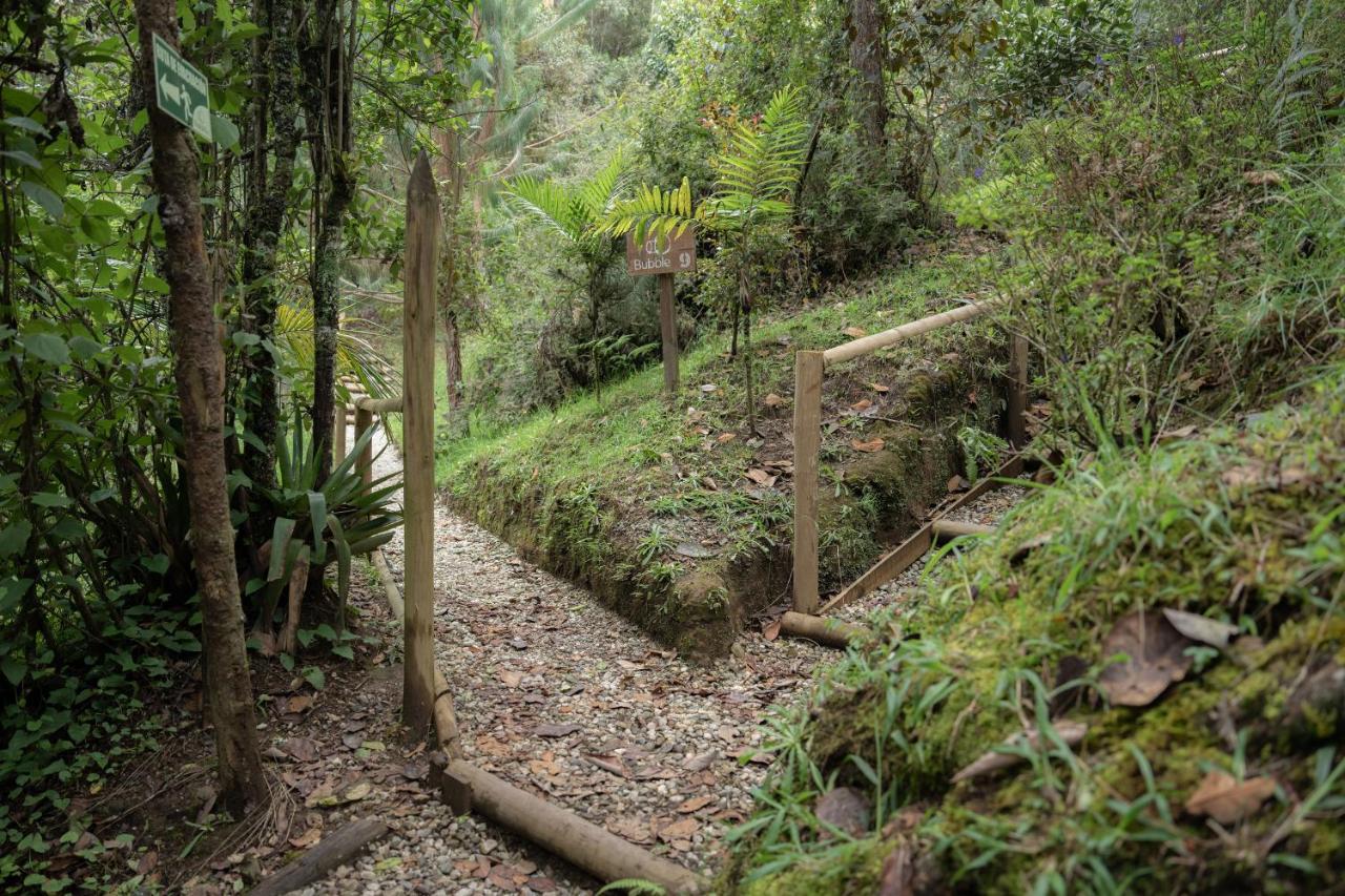 Bubblesky Glamping 40 Min From Medellin Hotel Retiro Kültér fotó