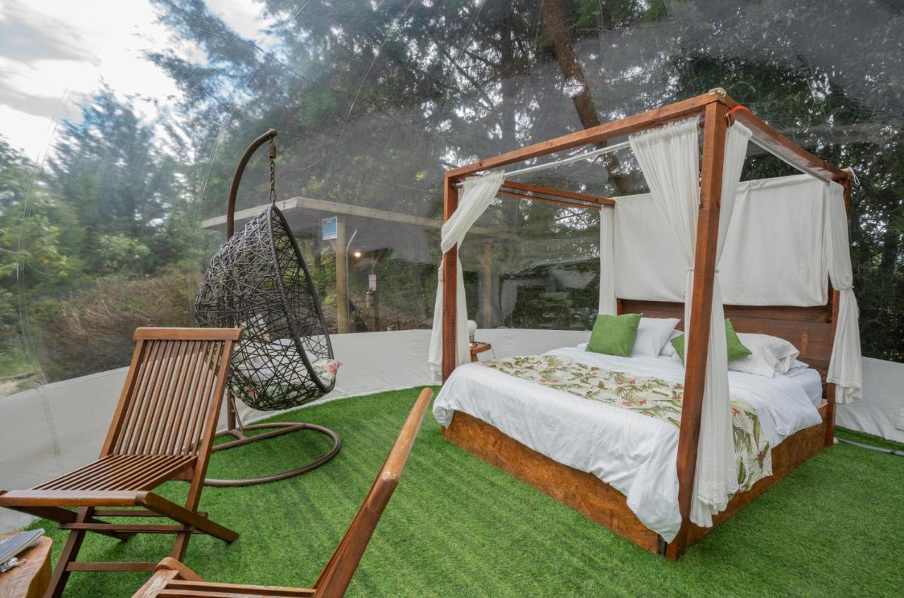 Bubblesky Glamping 40 Min From Medellin Hotel Retiro Kültér fotó