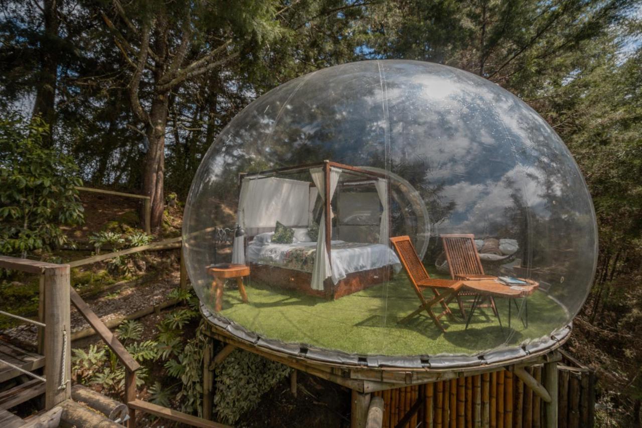 Bubblesky Glamping 40 Min From Medellin Hotel Retiro Kültér fotó