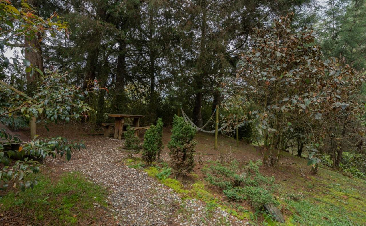 Bubblesky Glamping 40 Min From Medellin Hotel Retiro Kültér fotó