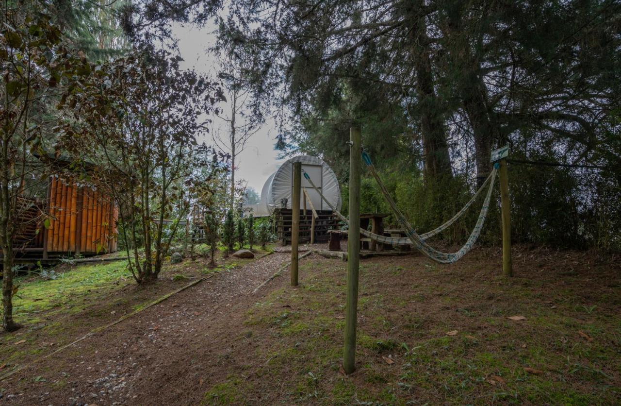 Bubblesky Glamping 40 Min From Medellin Hotel Retiro Kültér fotó